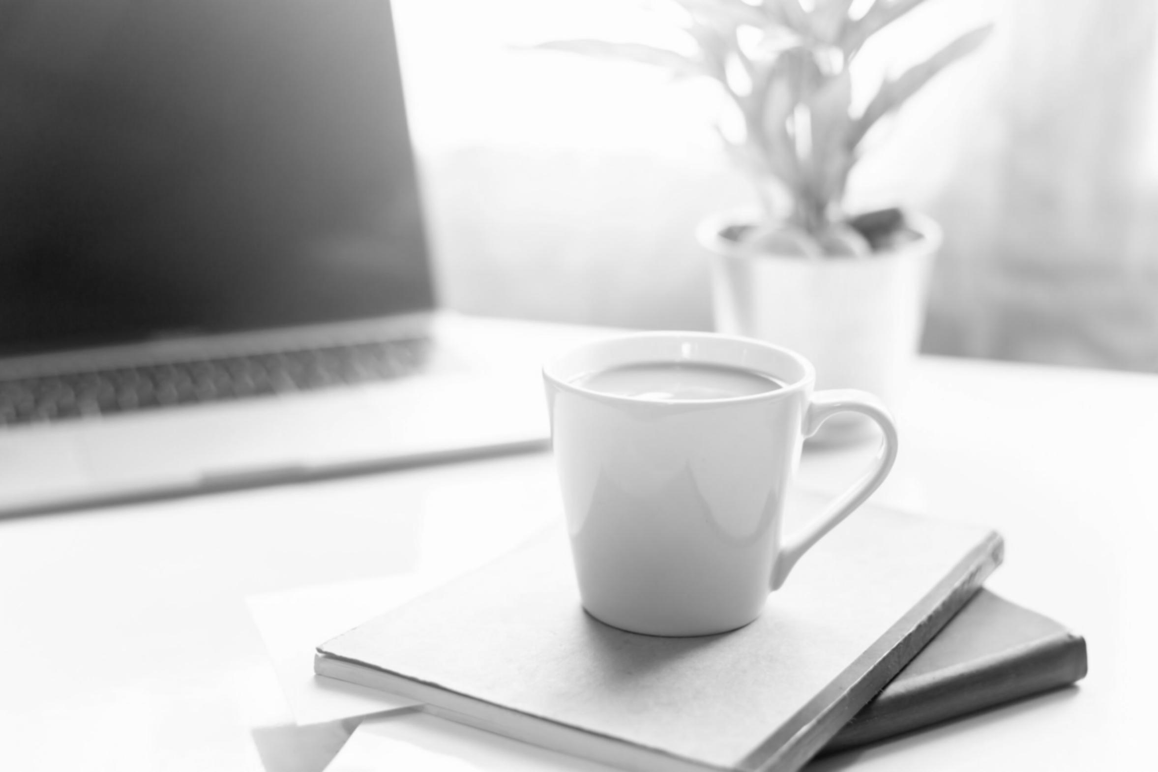 Professional development environment